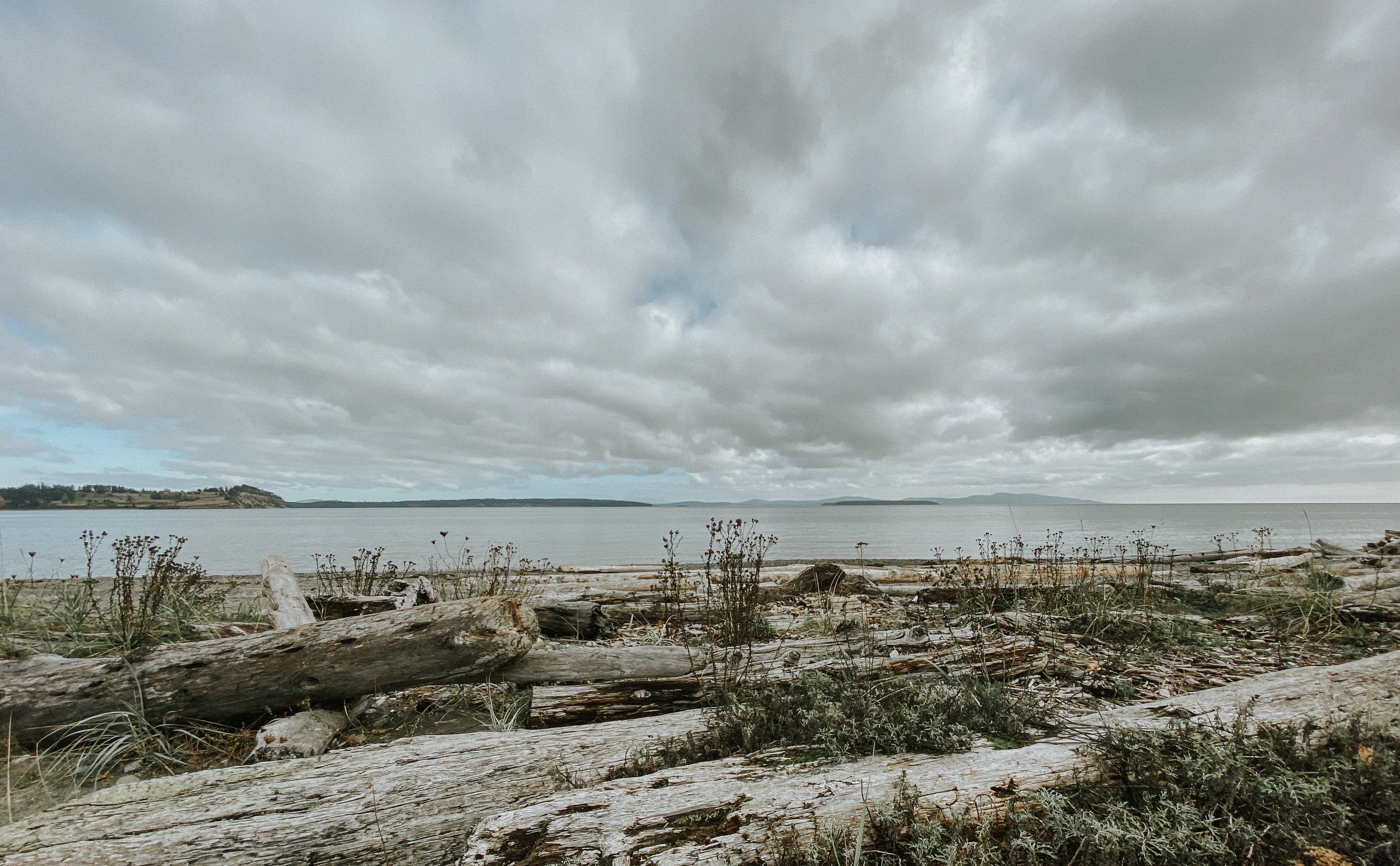 MICROPLASTICS POLLUTION  |  Tiny Particles, Big Problem