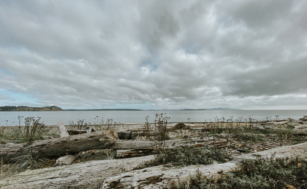 MICROPLASTICS POLLUTION  |  Tiny Particles, Big Problem