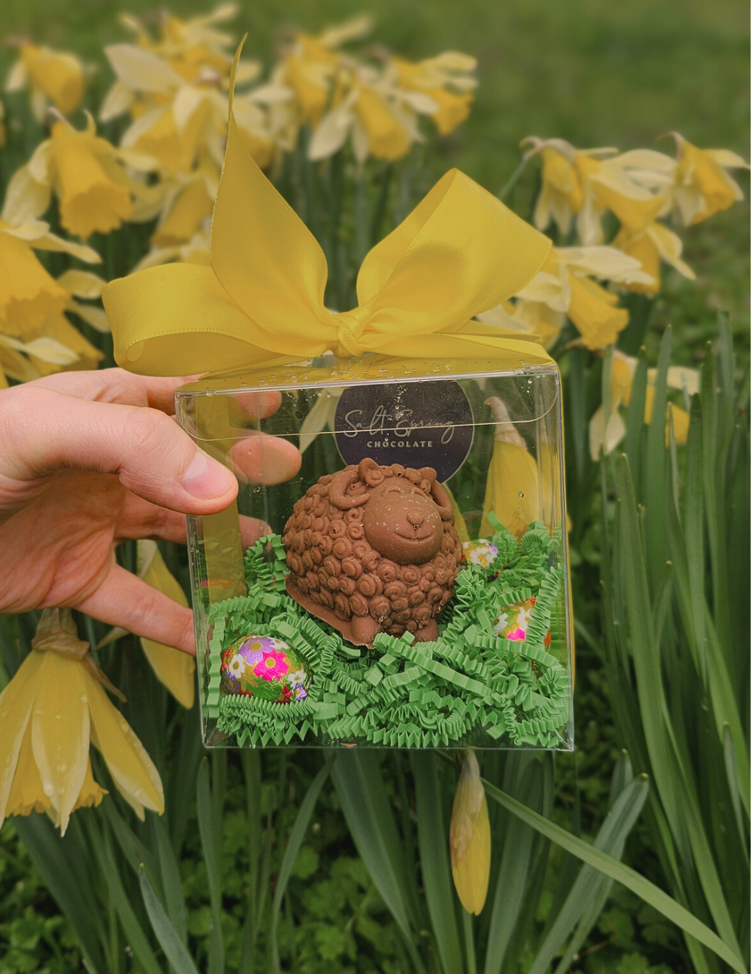 Ruckle Milk Chocolate Sheep