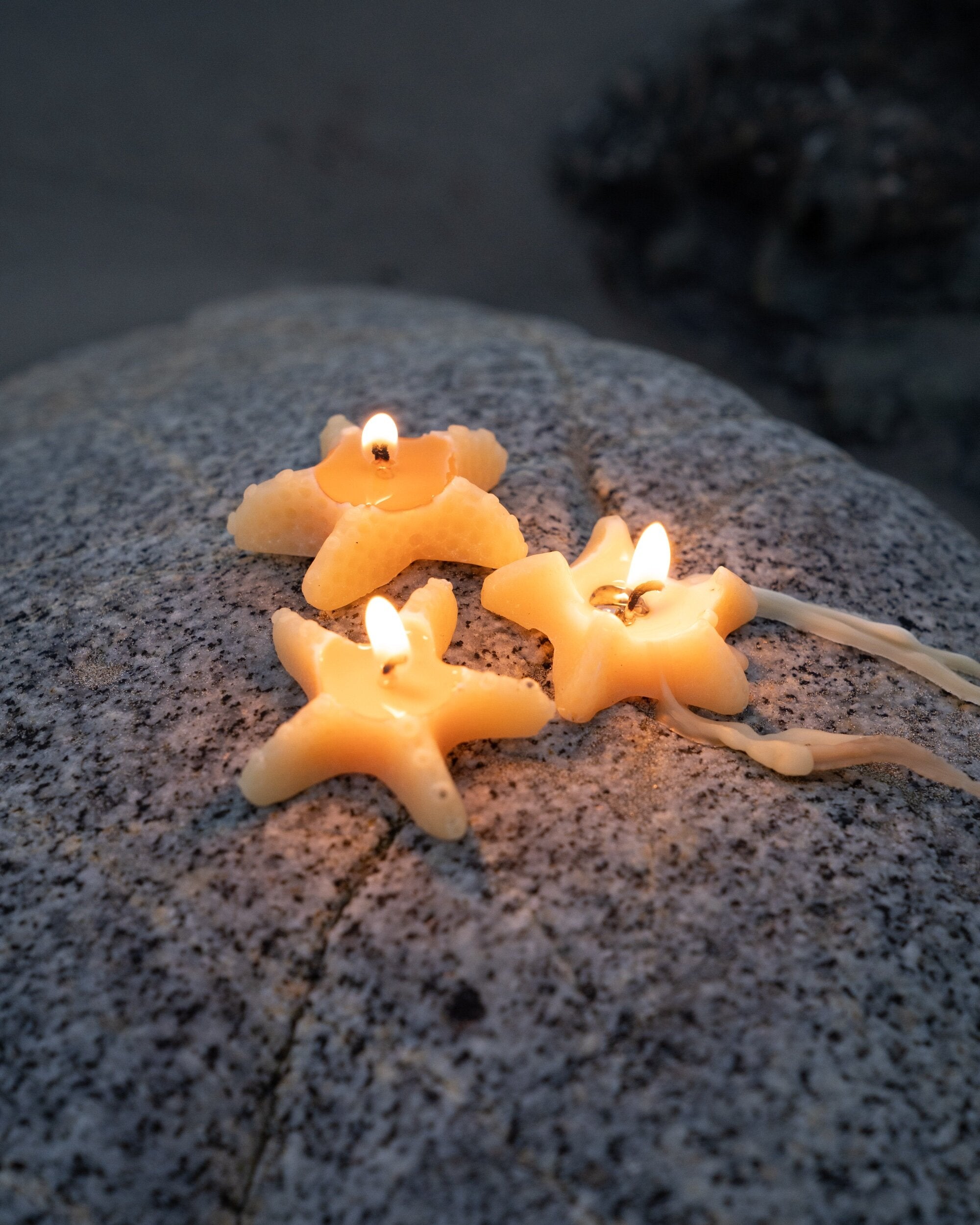 Mini Sea Star Candle